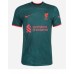 Fotbalové Dres Liverpool Roberto Firmino #9 Alternativní 2022-23 Krátký Rukáv